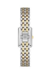 MOMENTUS SW273T-02SG