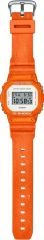 CASIO DW-5600WS-4DR